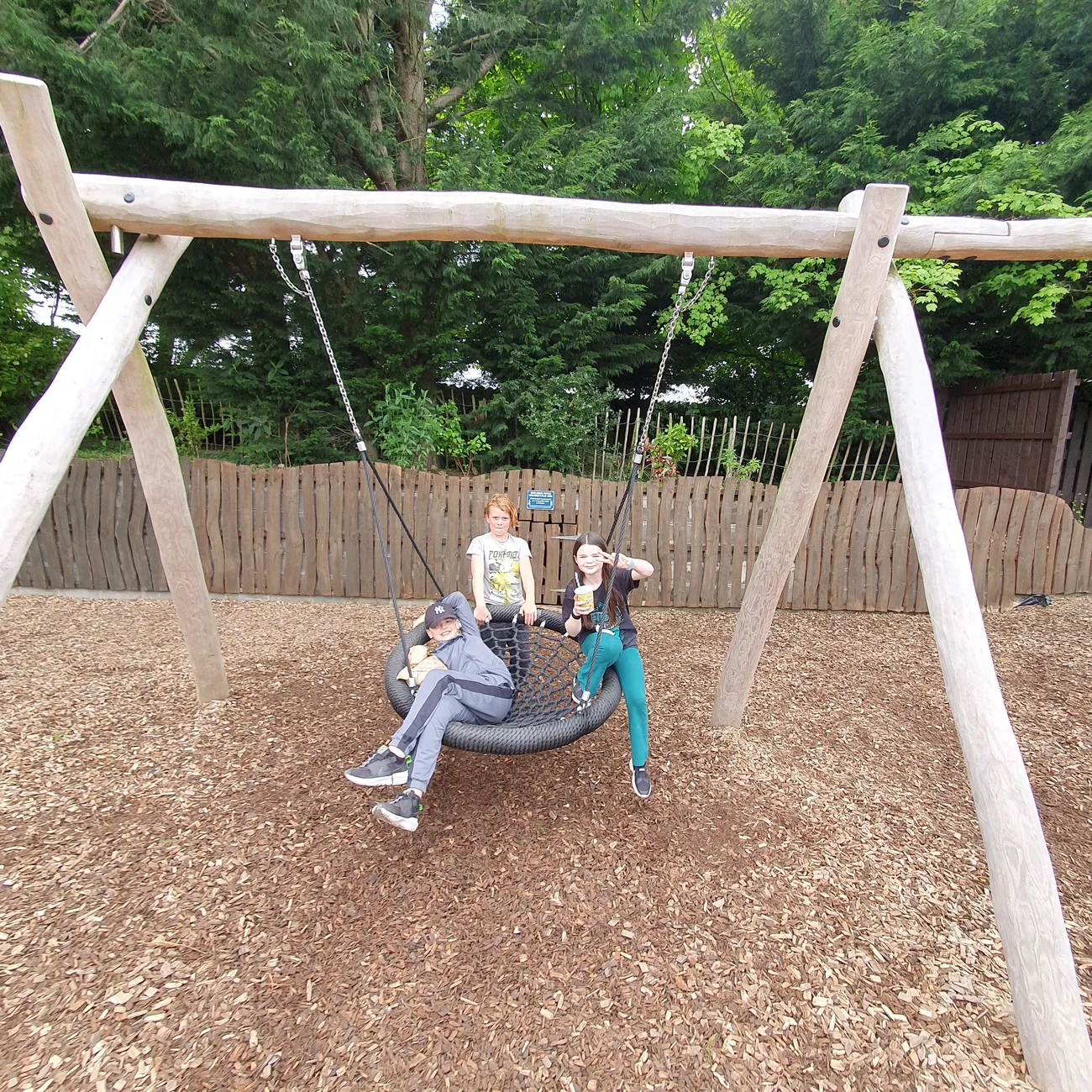 Gallery - created at 2024-06-06 15:19:10 - image 86