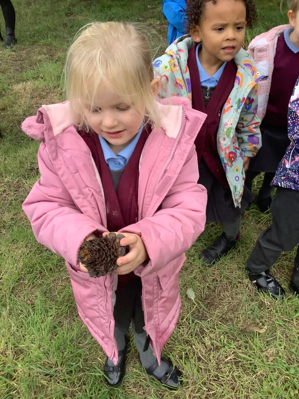 Nursery RE Creation - image 8 Nursery RE Creation - image 8