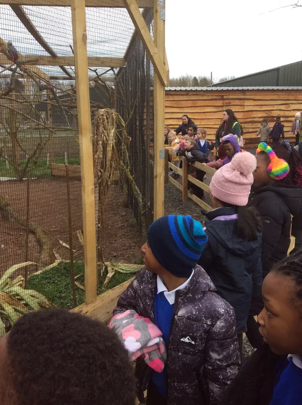 Gallery - created at 2024-02-29 15:51:05 - image 5 Gallery - created at 2024-02-29 15:51:05 - image 5