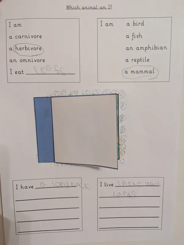 What animal am I? - image 14