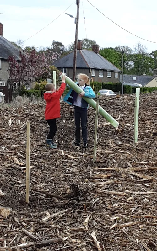 Gallery - created at 2025-04-30 13:12:16 - image 8 Gallery - created at 2025-04-30 13:12:16 - image 8