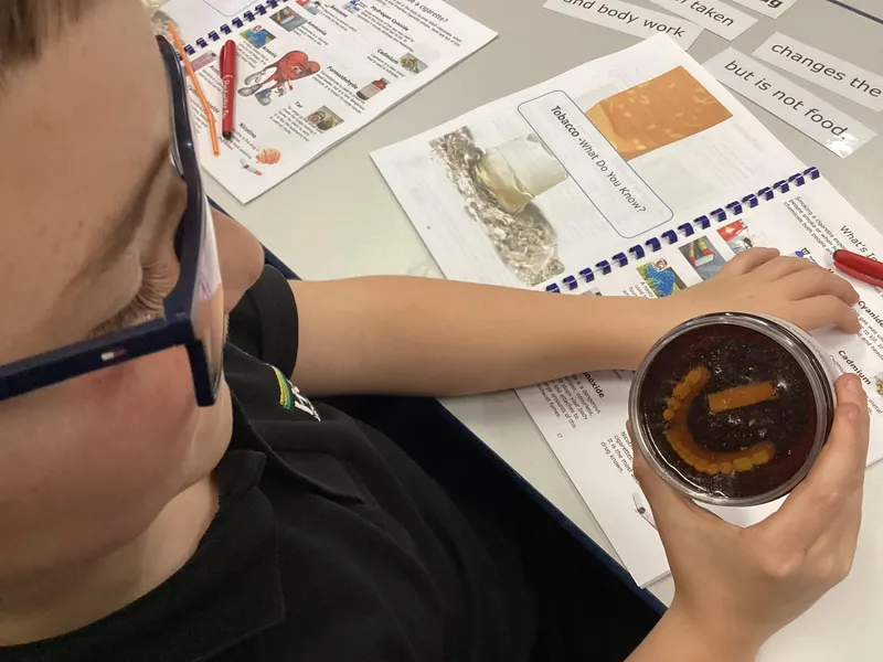 Gallery - created at 2024-01-14 15:47:46 - image 2