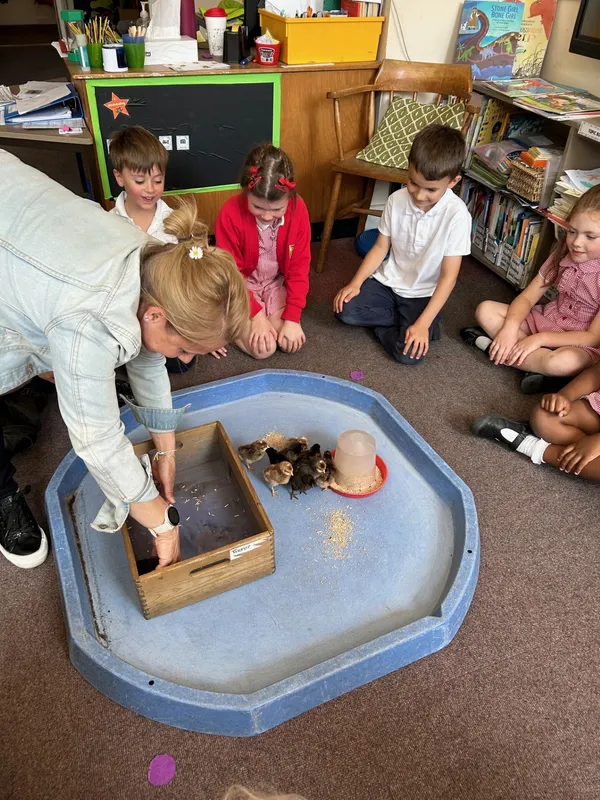 Gallery - created at 2025-05-15 20:09:46 - image 14