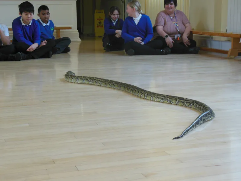 Y6 Reptile Rendezvous - image 1