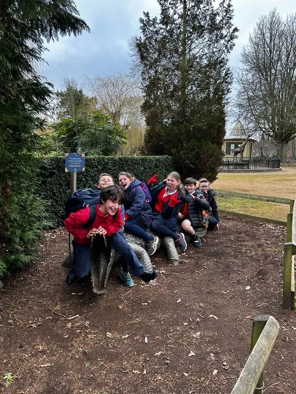 Gallery - created at 2023-03-01 14:01:13 - image 6