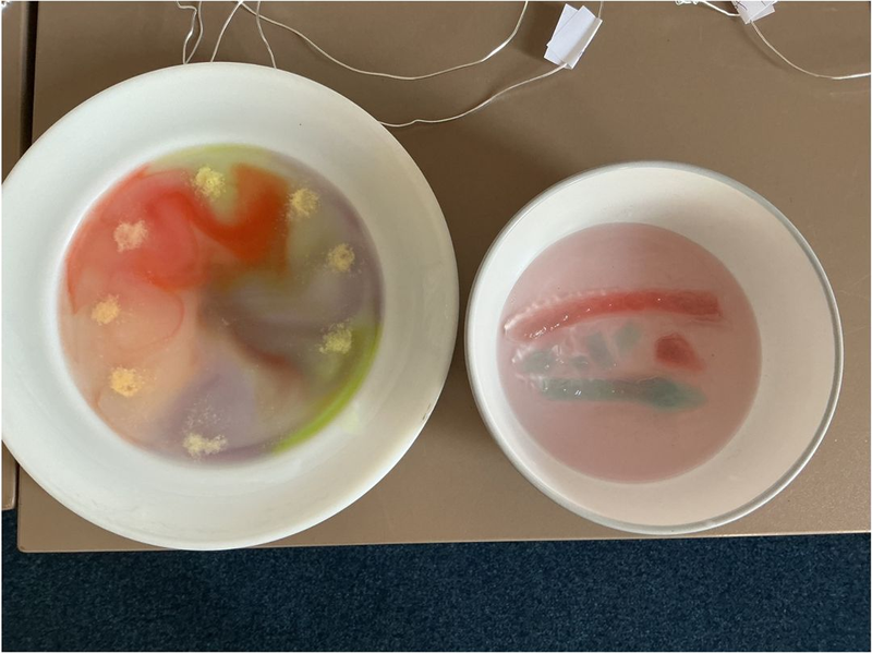 Investigating osmosis and diffusion.