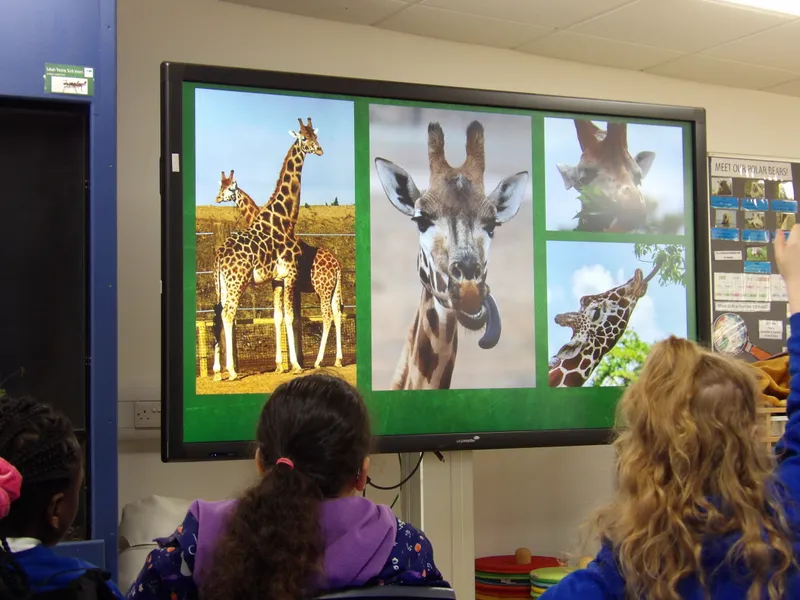 Y3 Yorkshire Wildlife Park Trip - image 36