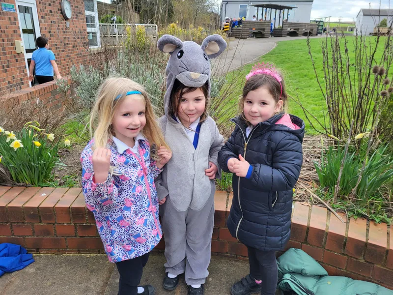 OPAL - image 15 OPAL - image 15