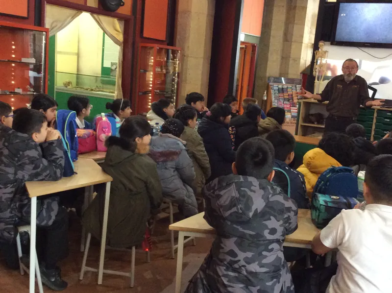 Gallery - created at 2023-04-25 20:29:29 - image 17