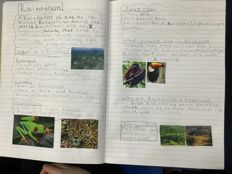 Gallery - created at 2021-04-26 21:31:33 - image 12 Gallery - created at 2021-04-26 21:31:33 - image 12