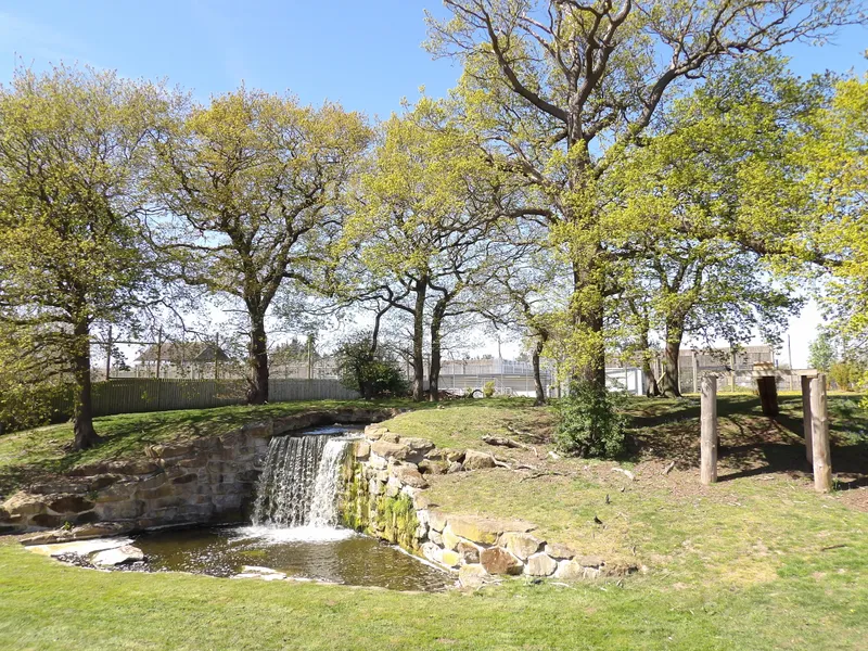 Y3 Yorkshire Wildlife Park Trip - image 9