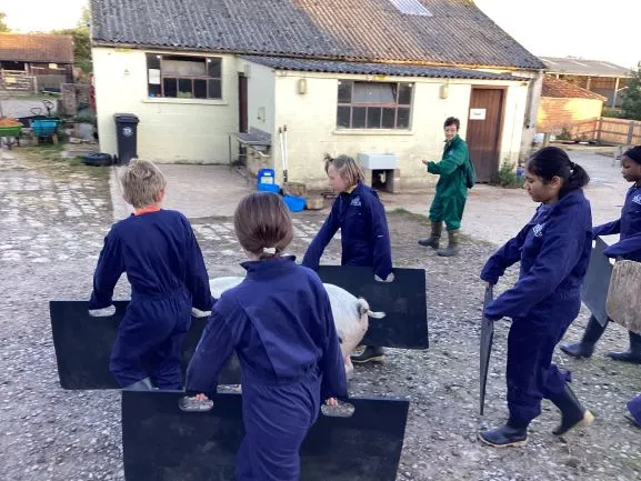 Farm Trip - Gallery 4 - image 27