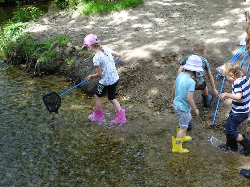 Gallery - created at 2019-07-12 14:19:38 - image 12 Gallery - created at 2019-07-12 14:19:38 - image 12