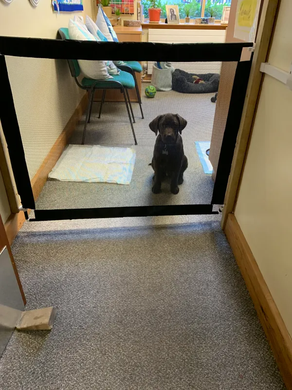 Gallery - created at 2021-06-30 13:57:57 - image 7