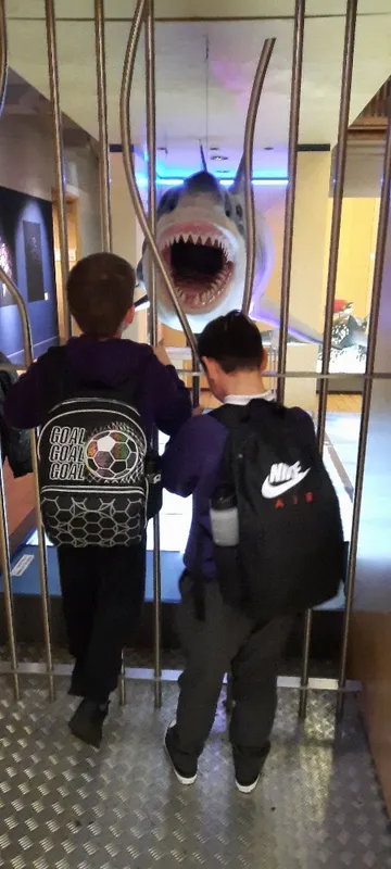 Whole School Trip to Newcastle  - image 23