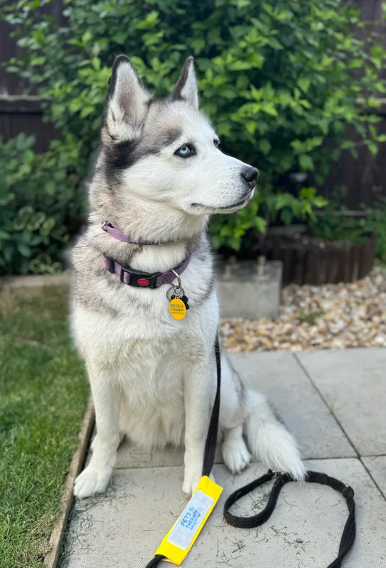 Gallery - created at 2024-07-03 09:02:28 - image 2