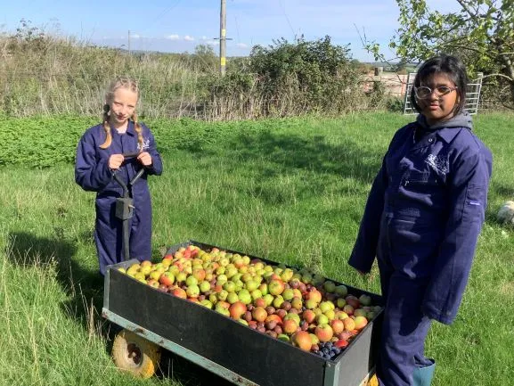 Farm Trip 25 - Gallery 2 - image 11