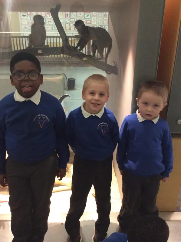 Gallery - created at 2024-02-09 11:53:37 - image 34