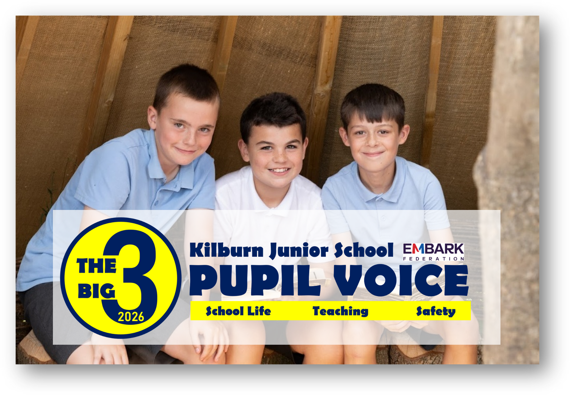 Big 3 Survey Results