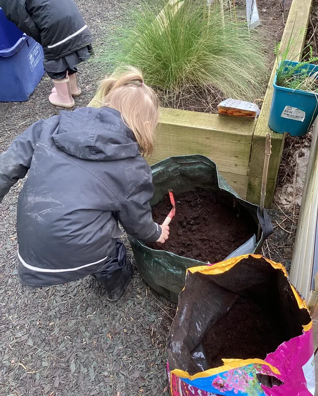 Planting potatoes 26 - image 3