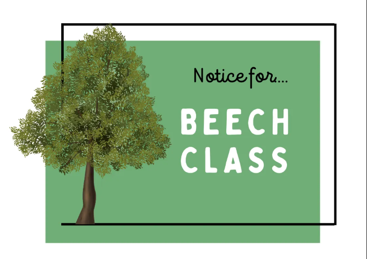 Beech Class Notice - Swimming Lessons in Spring 2026