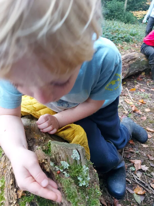 Gallery - created at 2022-11-14 17:15:19 - image 3