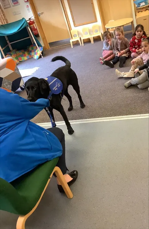 ANS - Support Dog Visit - image 4 ANS - Support Dog Visit - image 4