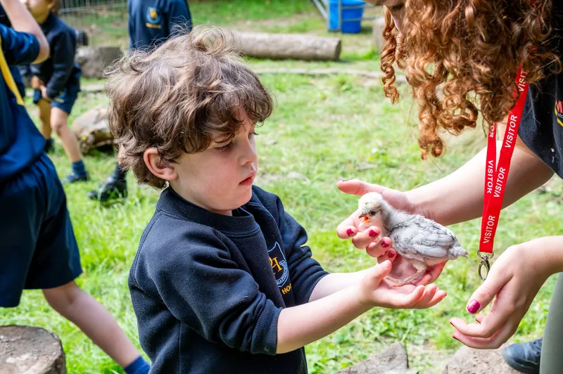 Stay + play - image 22