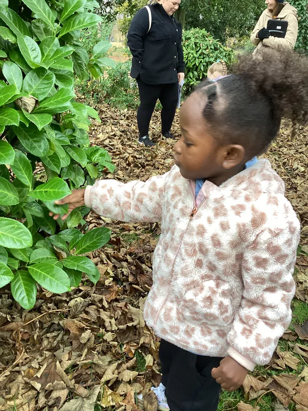 Gallery - created at 2024-11-08 10:10:59 - image 89 Gallery - created at 2024-11-08 10:10:59 - image 89