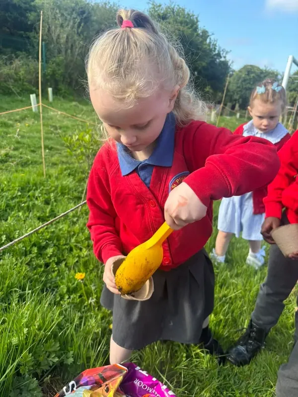 Gallery - created at 2025-05-18 08:26:17 - image 4