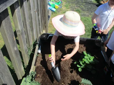 Planting - image 8
