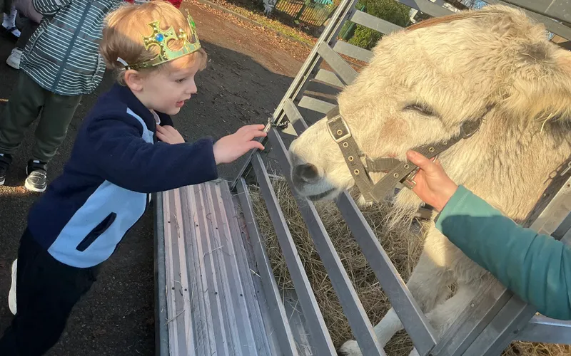 Stella farm on wheels Part 1 - image 48