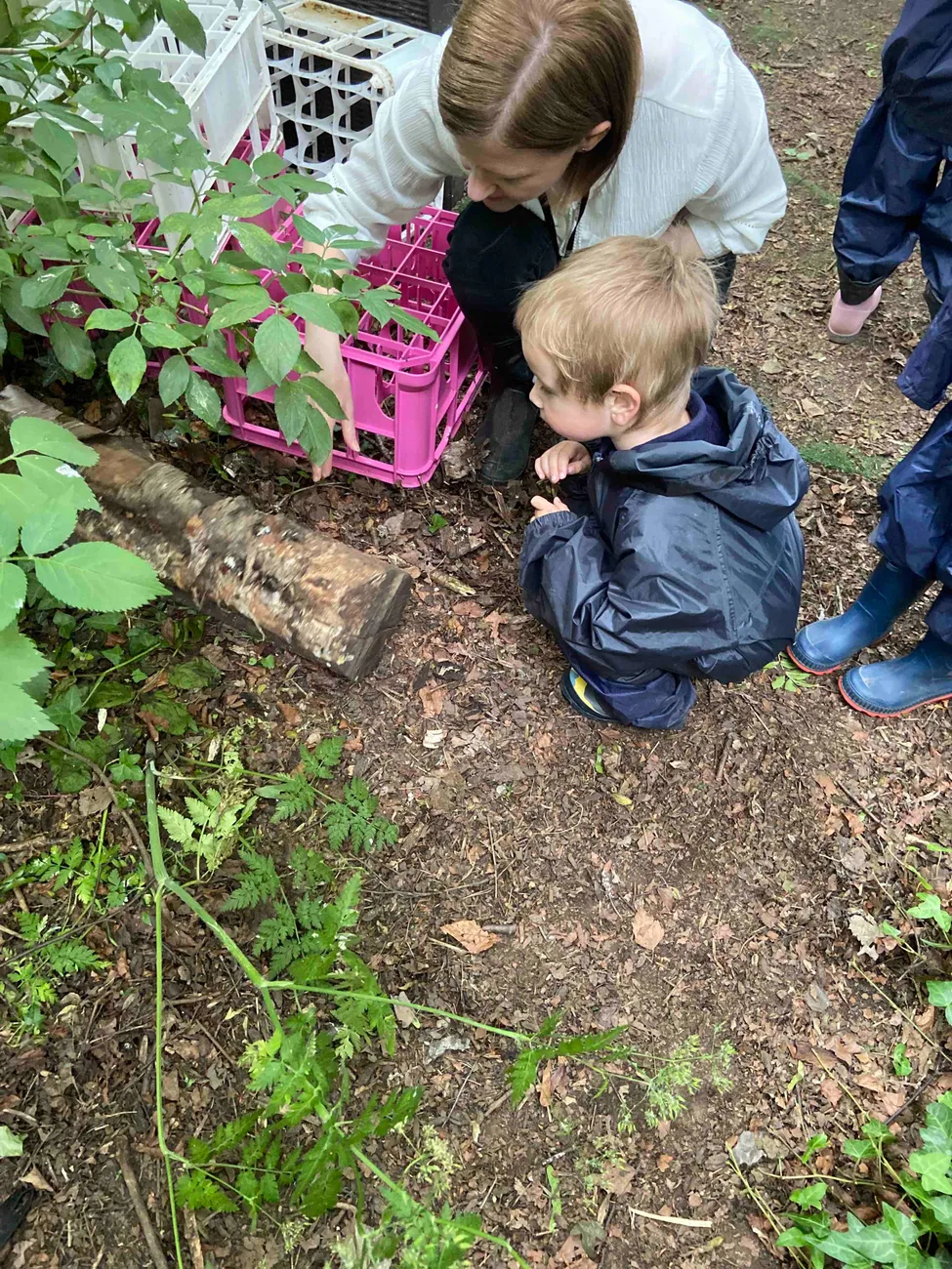 Gallery - created at 2022-09-18 21:26:06 - image 12