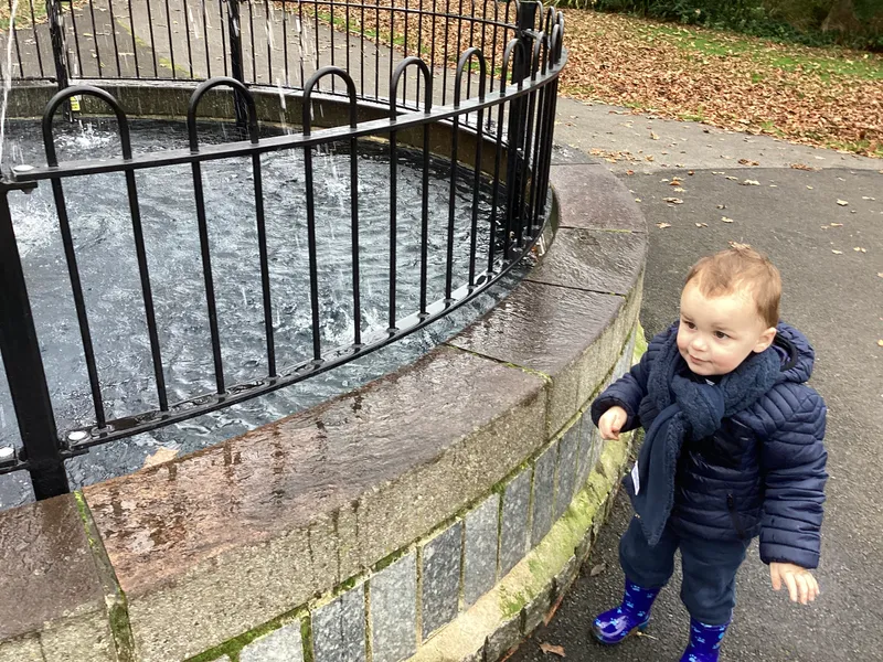 Gallery - created at 2024-11-08 10:10:59 - image 31 Gallery - created at 2024-11-08 10:10:59 - image 31