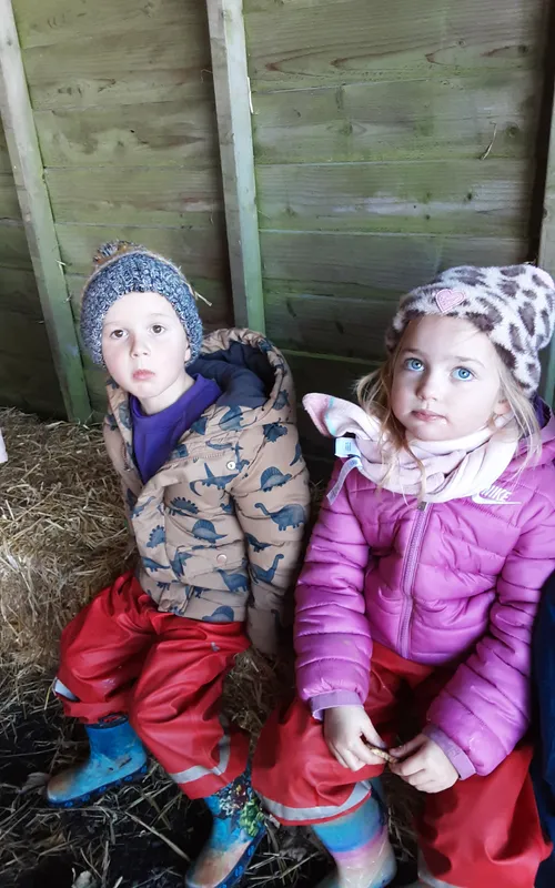 Gallery - created at 2024-10-25 14:50:36 - image 5 Gallery - created at 2024-10-25 14:50:36 - image 5