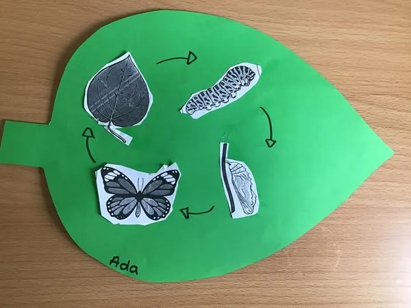 Science at Watton at Stone  - image 1