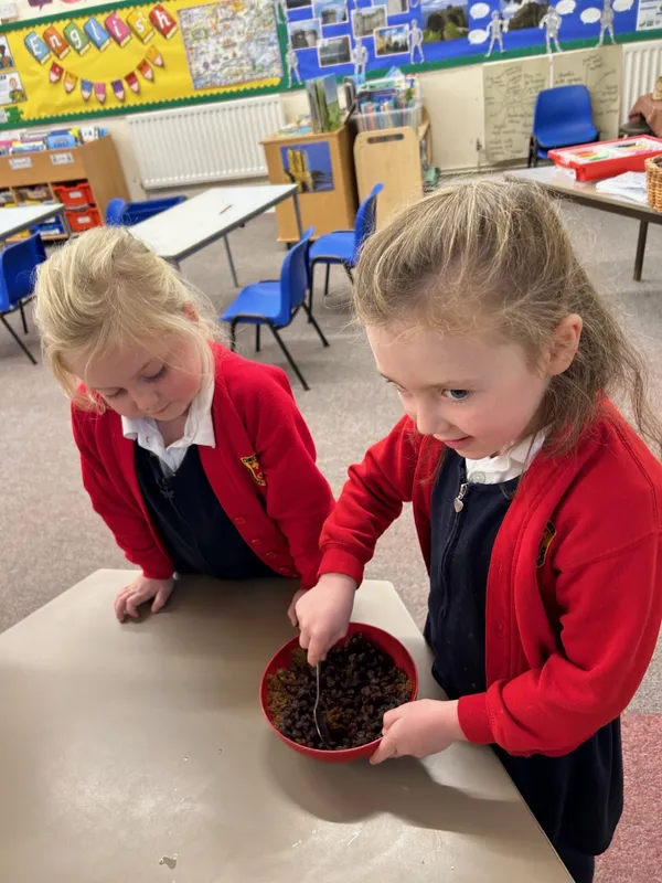 Gallery - created at 2024-10-04 13:58:25 - image 2