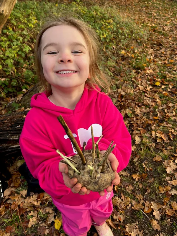 Gallery - created at 2022-12-06 12:52:57 - image 7