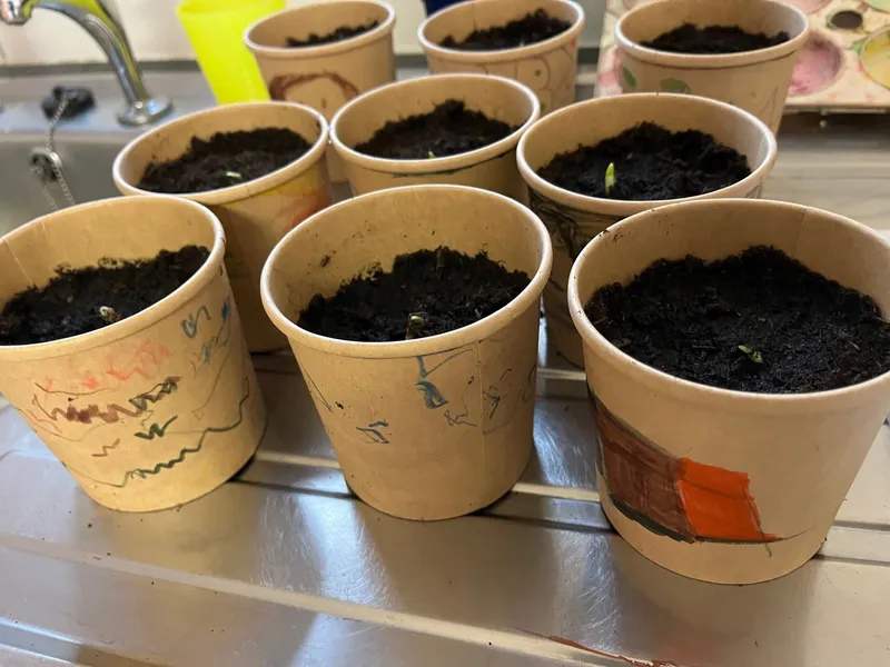 Gallery - created at 2023-12-08 14:43:00 - image 2