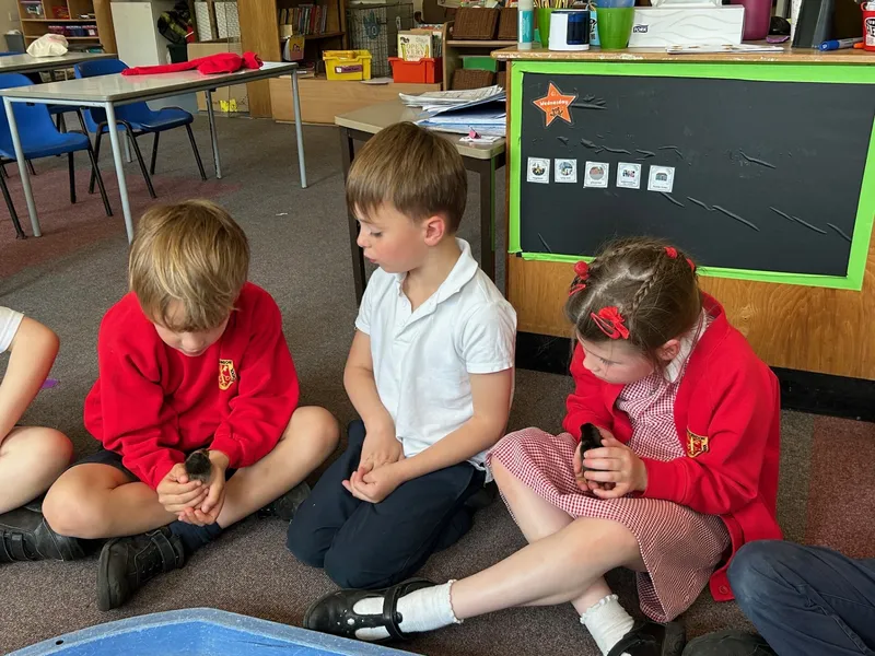 Gallery - created at 2025-05-15 20:09:46 - image 10