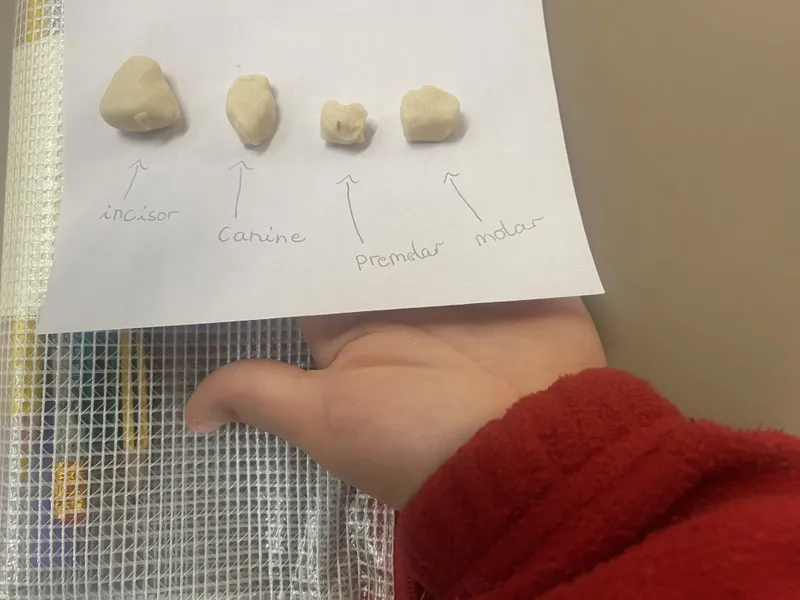 Gallery - created at 2025-11-14 14:33:38 - image 5 Gallery - created at 2025-11-14 14:33:38 - image 5