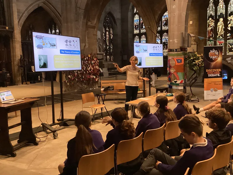 Gallery - created at 2024-10-24 11:27:48 - image 5