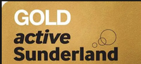 Gold Active Sunderland Award 