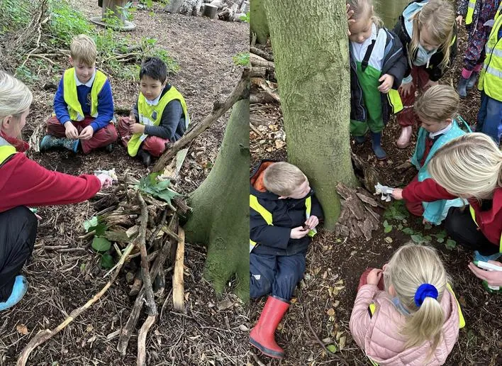 Autumn 2023 - 27th September - Acorns - Granny’s House and Properties of Materials - image 2 Autumn 2023 - 27th September - Acorns - Granny’s House and Properties of Materials - image 2