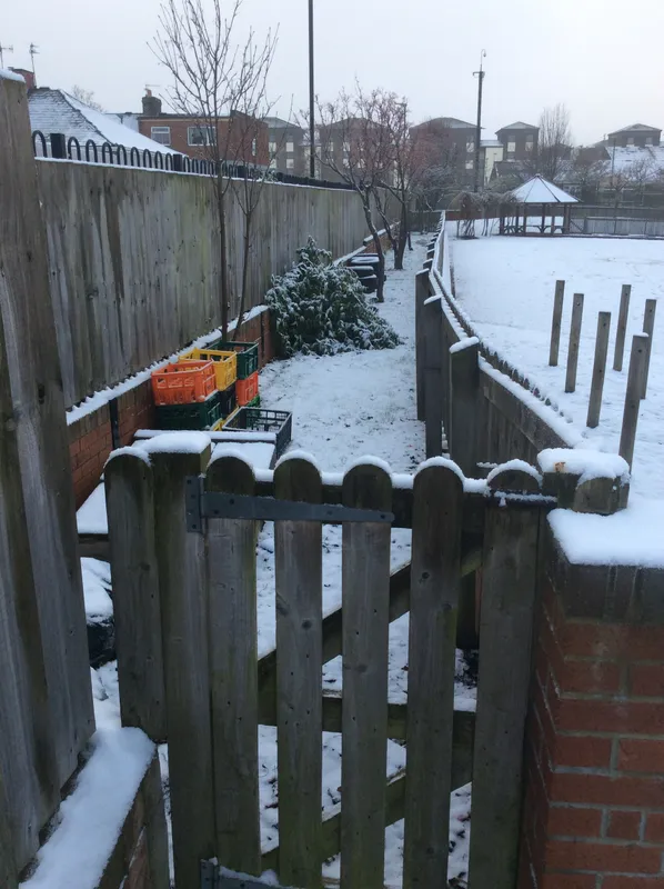 Gallery - created at 2022-12-15 12:27:59 - image 4