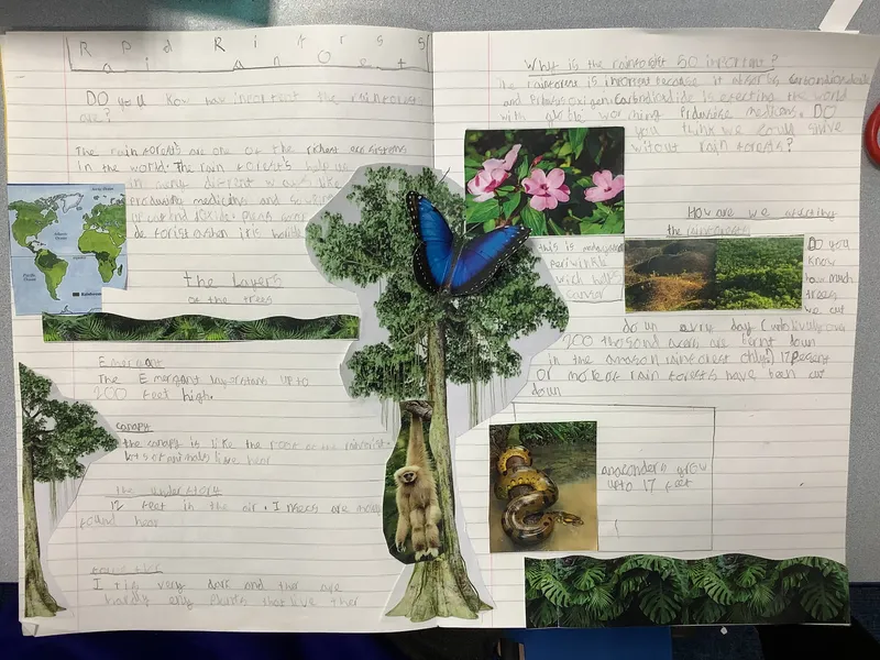 Gallery - created at 2021-04-26 21:31:33 - image 27 Gallery - created at 2021-04-26 21:31:33 - image 27