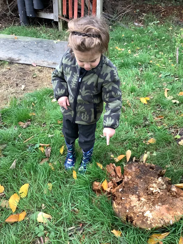 Nursery RE Creation - image 13 Nursery RE Creation - image 13