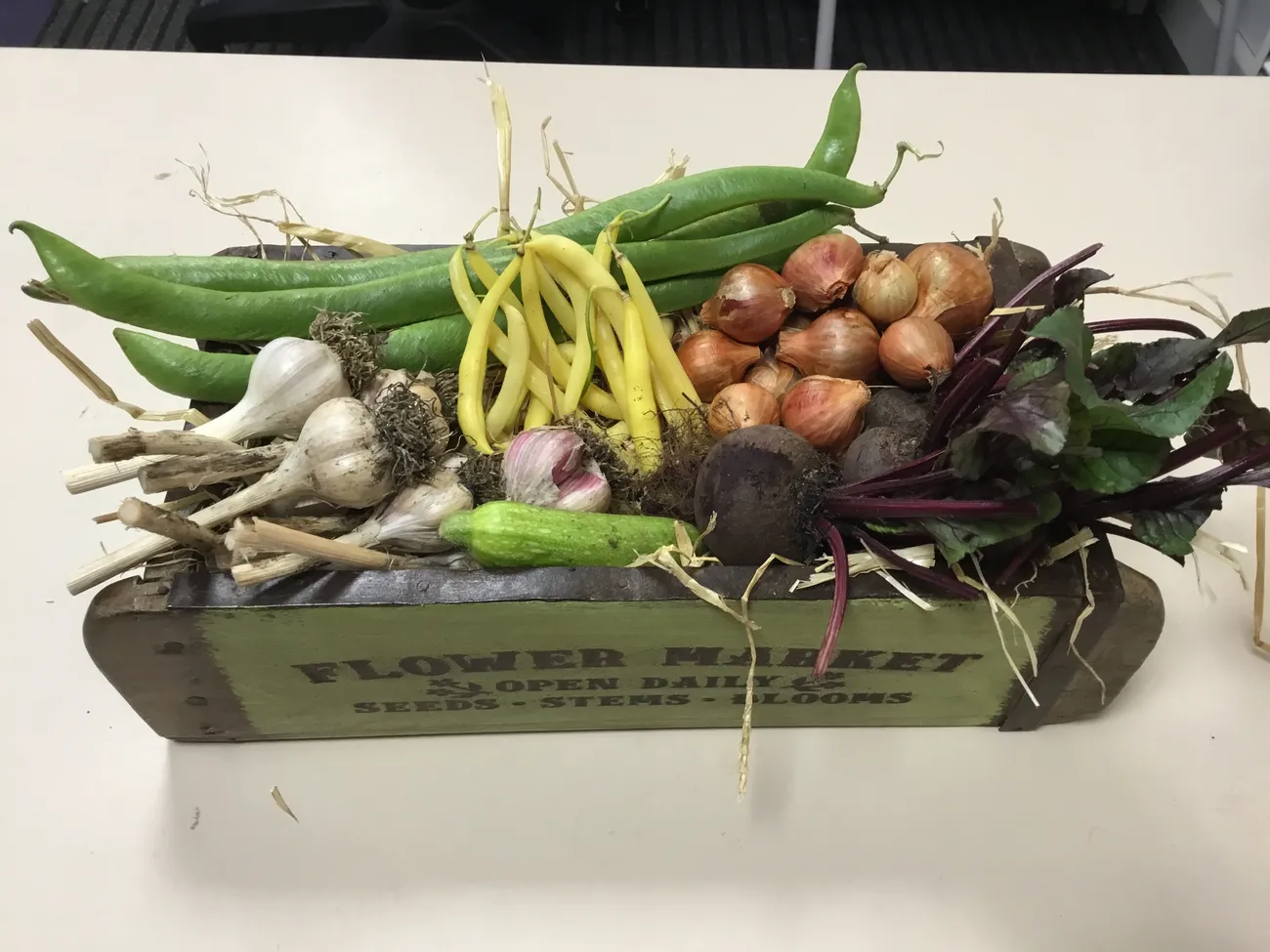 Gallery - created at 2023-09-07 16:46:06 - image 5 Gallery - created at 2023-09-07 16:46:06 - image 5