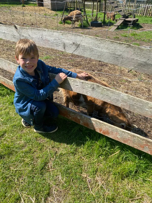 Gallery - created at 2024-05-12 17:36:52 - image 14 Gallery - created at 2024-05-12 17:36:52 - image 14