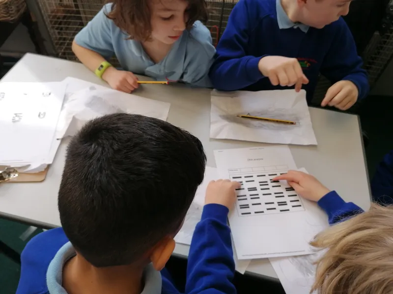 Gallery - created at 2021-03-14 14:39:05 - image 4